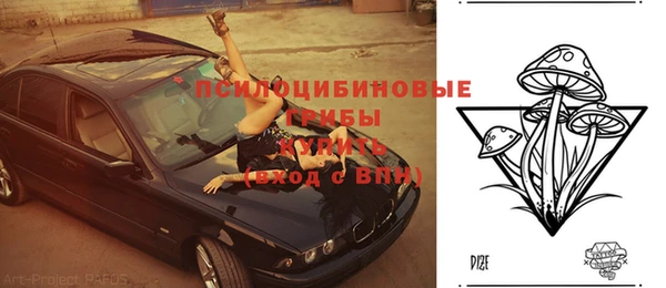 шишки Мегион