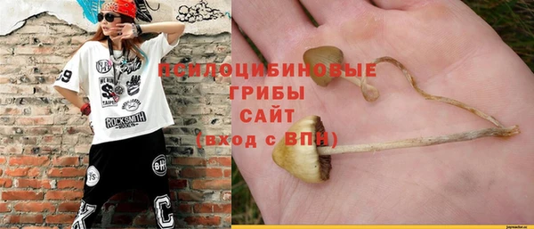 каннабис Майский