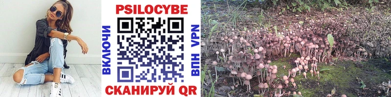 mega зеркало  Лебедянь  Псилоцибиновые грибы мицелий  где купить  